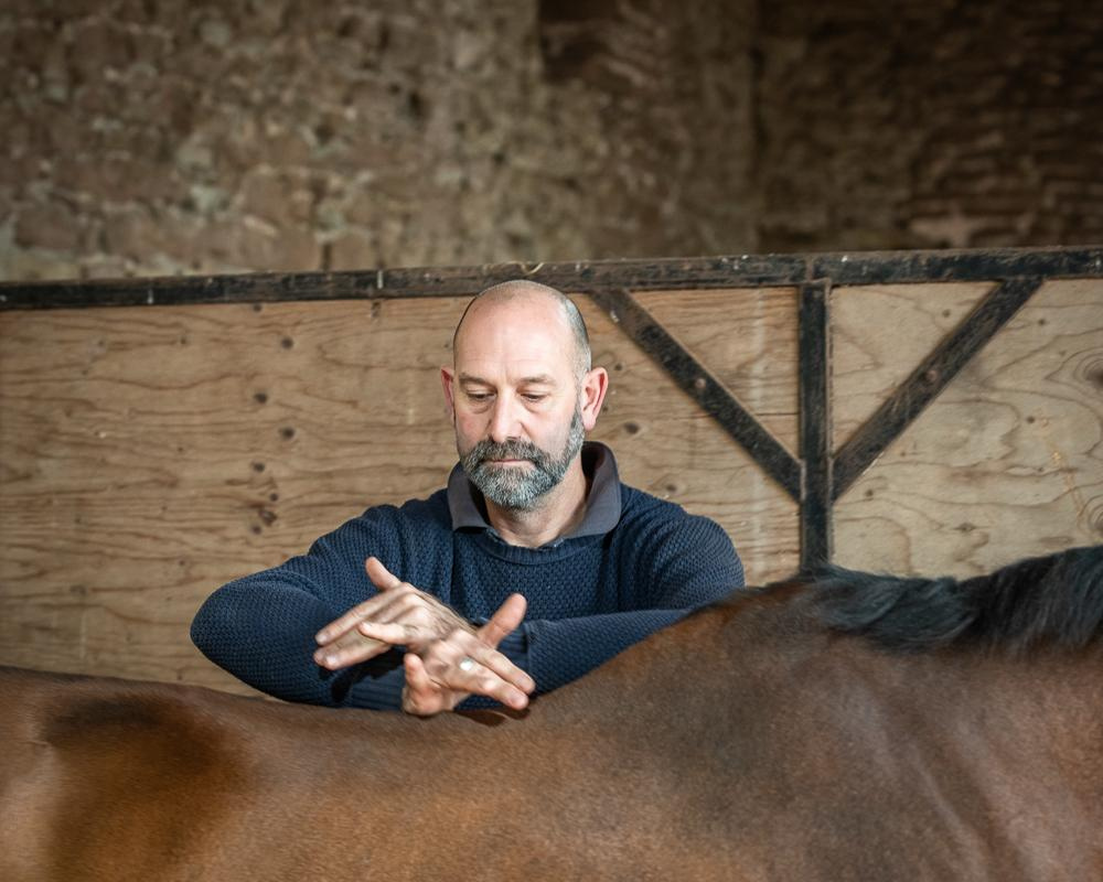 McTimoney Chiropractic for Animals