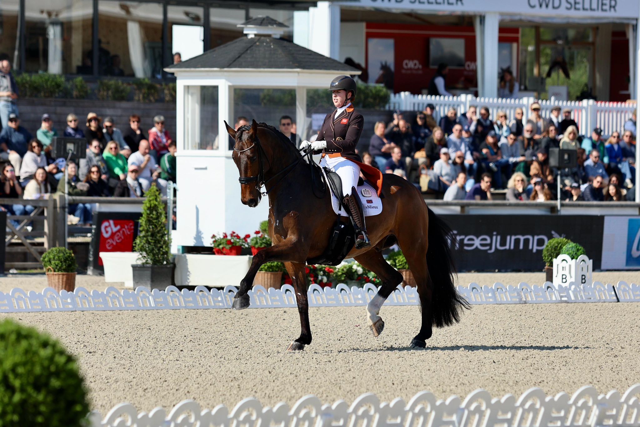 Becky Moody, GB Olympic Rider​
